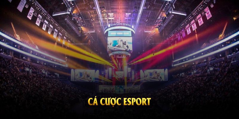 Mẹo Cá Cược Esport Được Nhiều Cao Thủ Áp Dụng