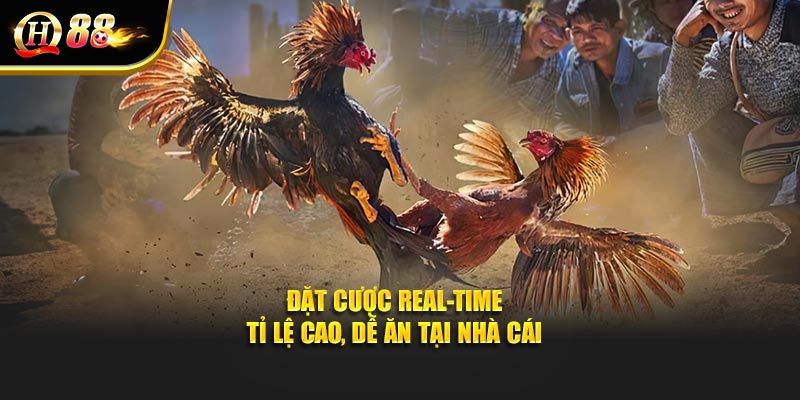 Đặt cược real-time – tỉ lệ cao, dễ ăn tại nhà cái