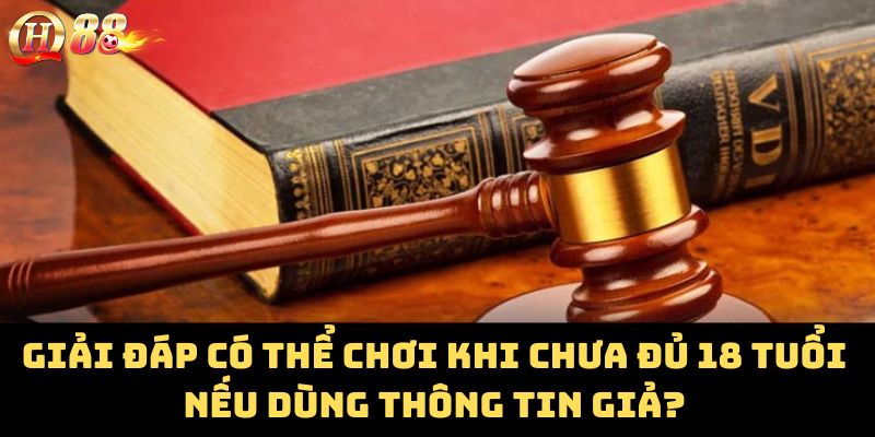 Giải đáp có thể chơi khi chưa đủ 18 tuổi nếu dùng thông tin giả?