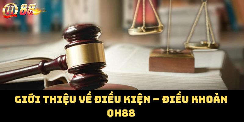 Giới thiệu về điều kiện – điều khoản QH88