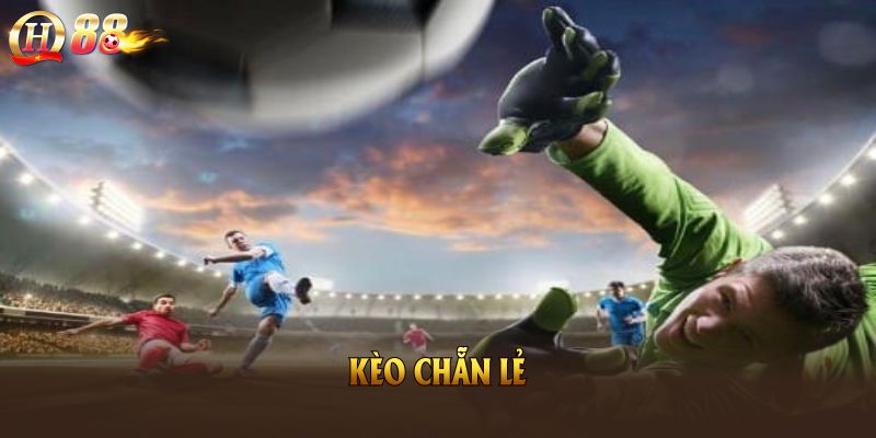 Kèo Chẵn Lẻ Là Gì? Hiểu Cách Đọc Kèo Hay Để Dễ Thắng