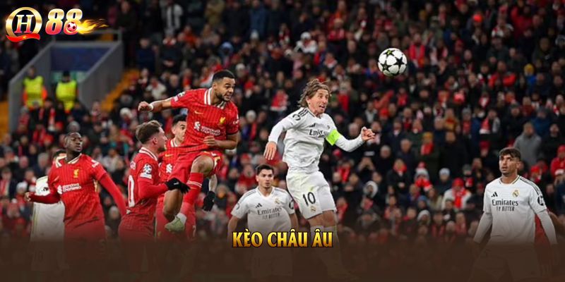 Kèo Châu Âu Là Gì? Hiểu Cách Đọc Kèo Và Bí Quyết Chơi