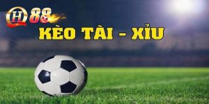 Kèo Tài Xỉu: Bí Quyết Soi Kèo Bất Bại Dành Cho Các Newbie