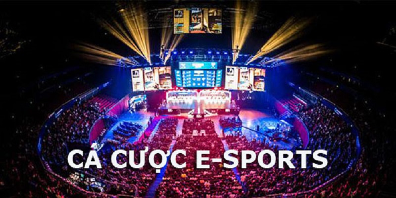 Một số mẹo cá cược Esport hiệu quả mọi người nên áp dụng