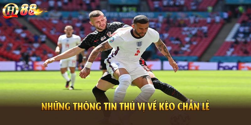 Những thông tin thú vị về Kèo chẵn lẻ mọi người nên biết